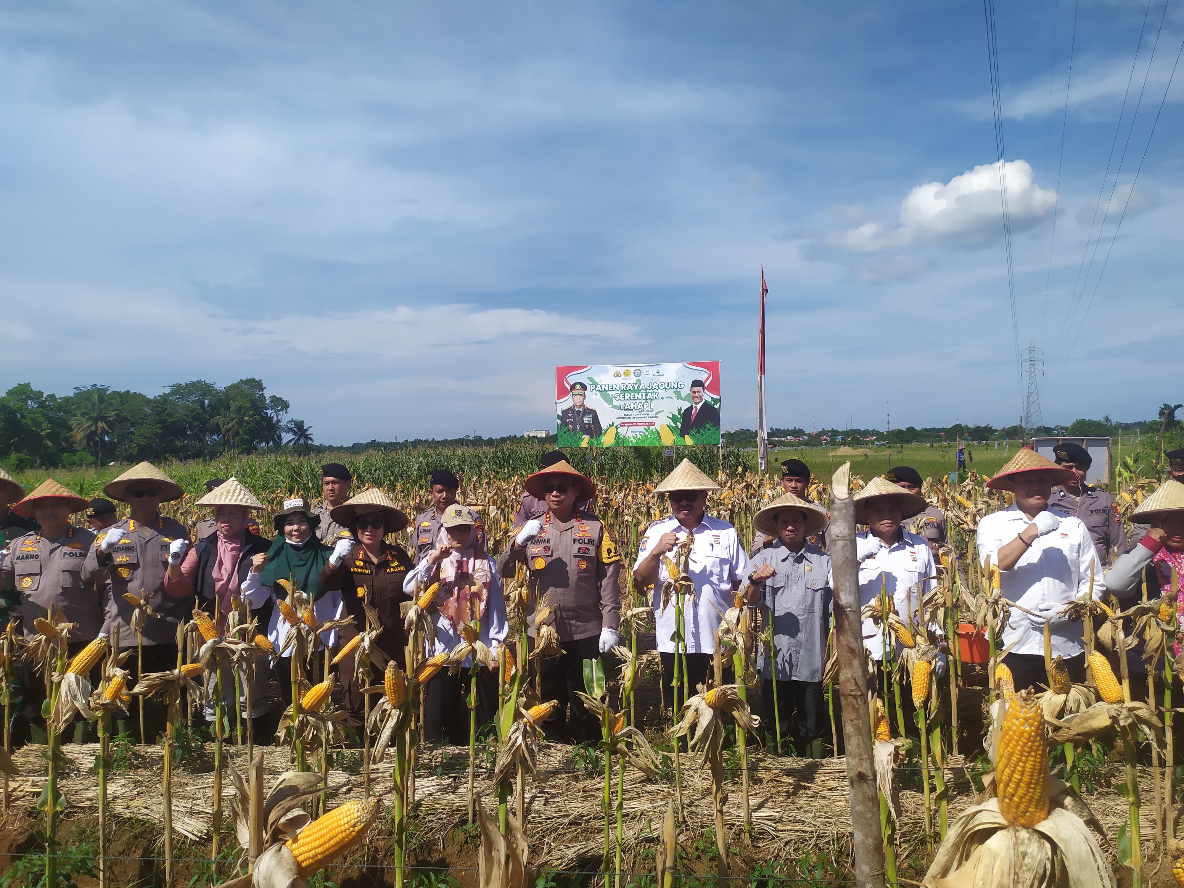 Polda Bengkulu Hasilkan 30 Ton Jagung, Dukung Program Swasembada Pangan Nasional