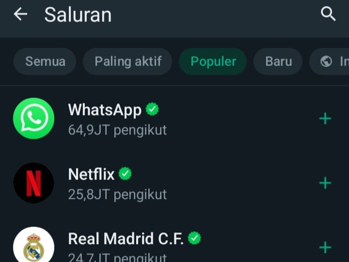 Fitur Baru WhatsApp, di Chanel Admin Bisa Kirim Pesan Suara