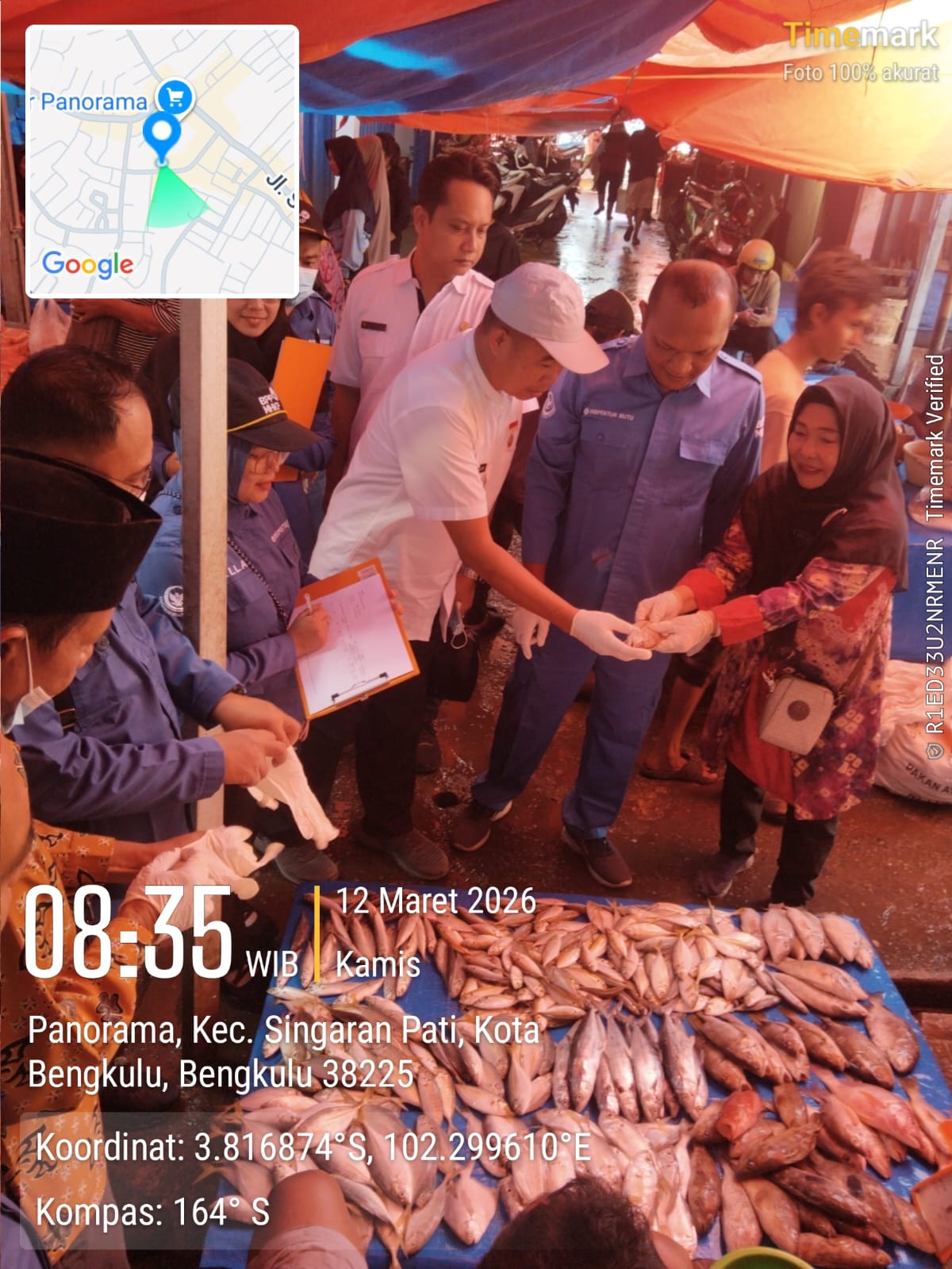 DKP Kota Bengkulu Uji Kualitas Ikan di Pasar Panorama, Pastikan Aman dari Formalin