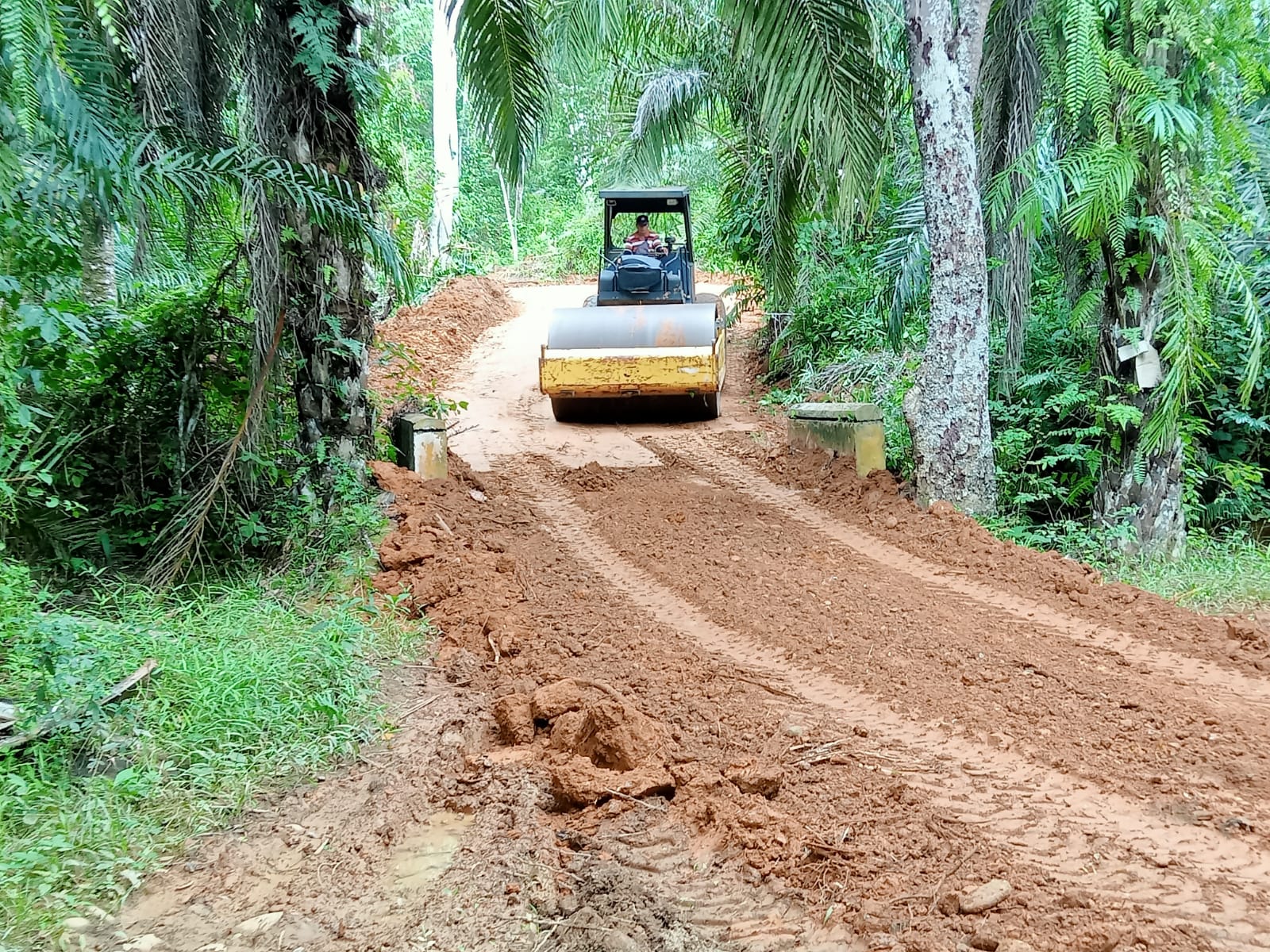 Hari Ke-11 Progres Pembukaan Badan Jalan TMMD ke-120 Desa Bukit Tinggi Capai 83 Persen