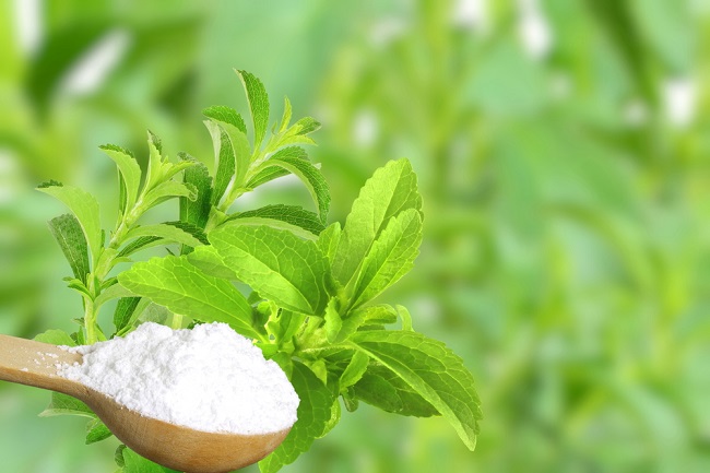 Daun Stevia: Pemanis Alami Pengganti Gula untuk Penderita Diabetes