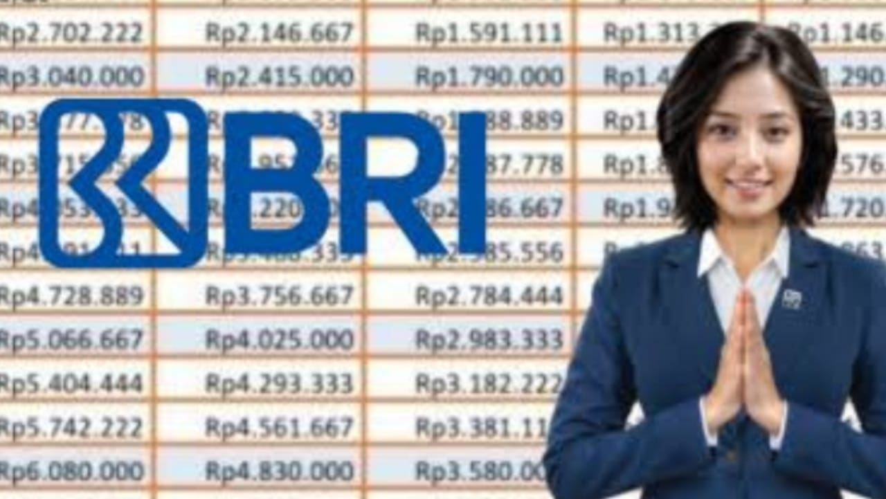 Ini Kategori Warga Yang Bisa Mendapatkan Pinjaman Bank BRI