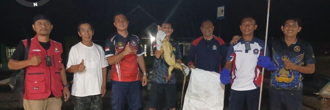 Seekor Biawak Bikin Heboh Damkar Bengkulu Selatan