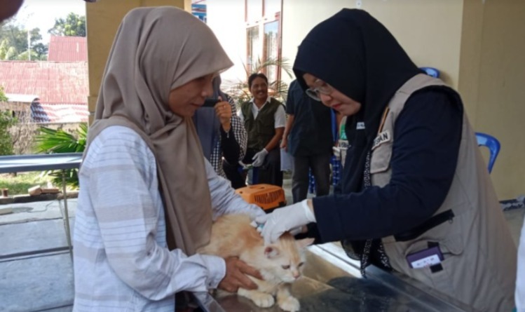 Bengkulu Gelar Vaksinasi Massal, Siapkan 1.000 Dosis untuk Berantas Rabies