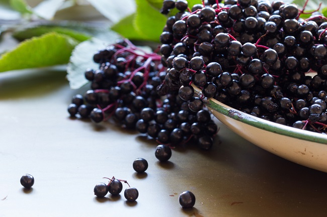 Meski Berukuran Kecil, Elderberry Khasiat Sangat Melimpah