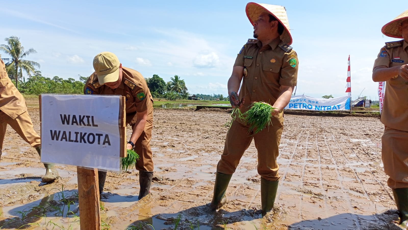 Pertahankan Ketahanan Pangan, Tanam Padi Serentak di Kota Bengkulu