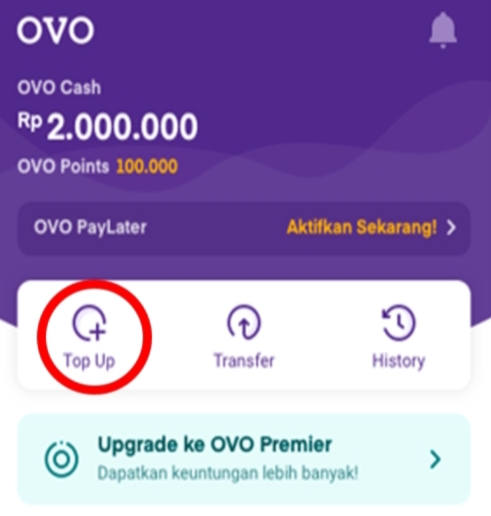 2 Jalan Mudah Top Up Saldo OVO Lewat Aplikasi DANA