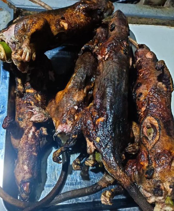 Kawok, Kuliner Terekstrem di Indonesia Berbahan Daging Tikus 