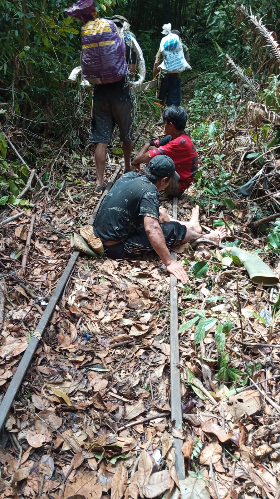 Molek Masuk Jurang di Jalur Lebong Tandai Bengkulu Utara, Butuh Perhatian Pemprov
