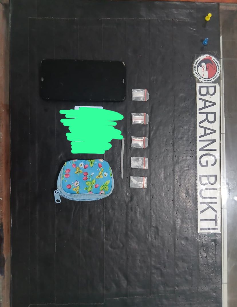 Polda Bengkulu Ringkus Buruh Harian Diduga Pengedar Sabu di Curup, 5 Paket Diamankan
