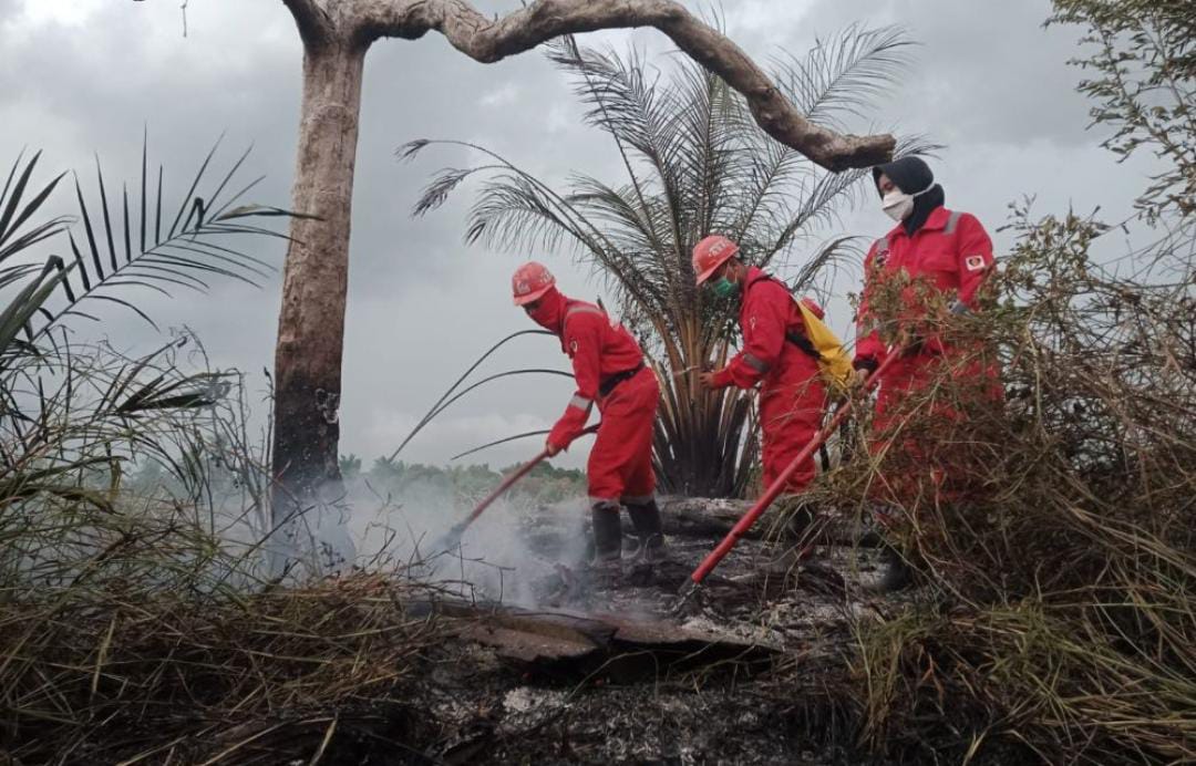 Musim Kemarau, Pemkot Bengkulu Imbau Warga Tak Bakar Lahan Sembarangan