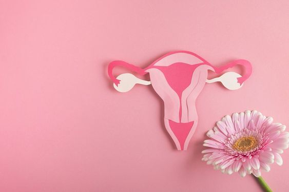 Simak 5 Cara Menjaga Membersihkan Vagina Dengan Benar 
