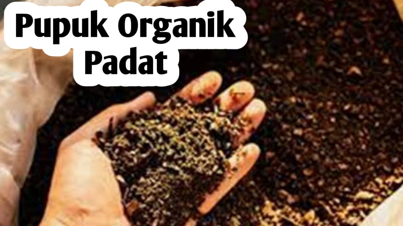 Penggunaan Pupuk Organik Padat, Ini 5 Khasiatnya Bagi Tanaman