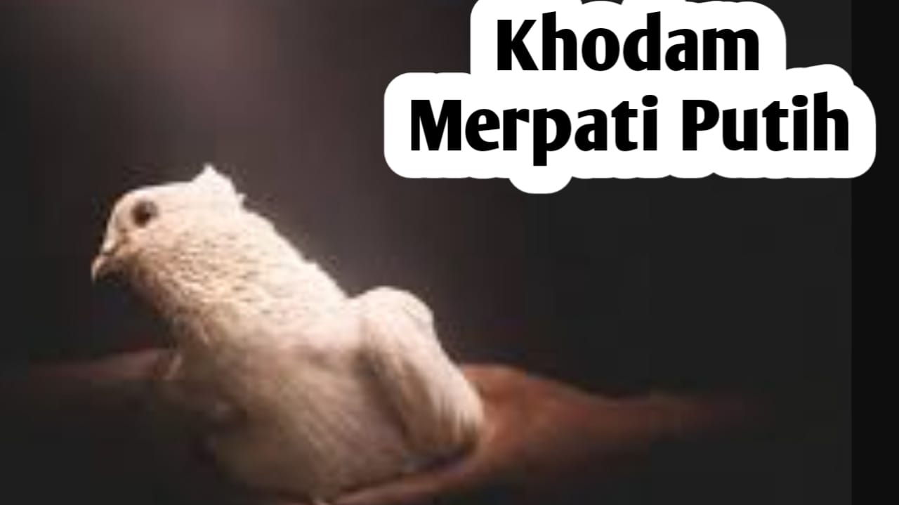 Kekuatan Khodam Merpati Putih, Simak Penjelasannya