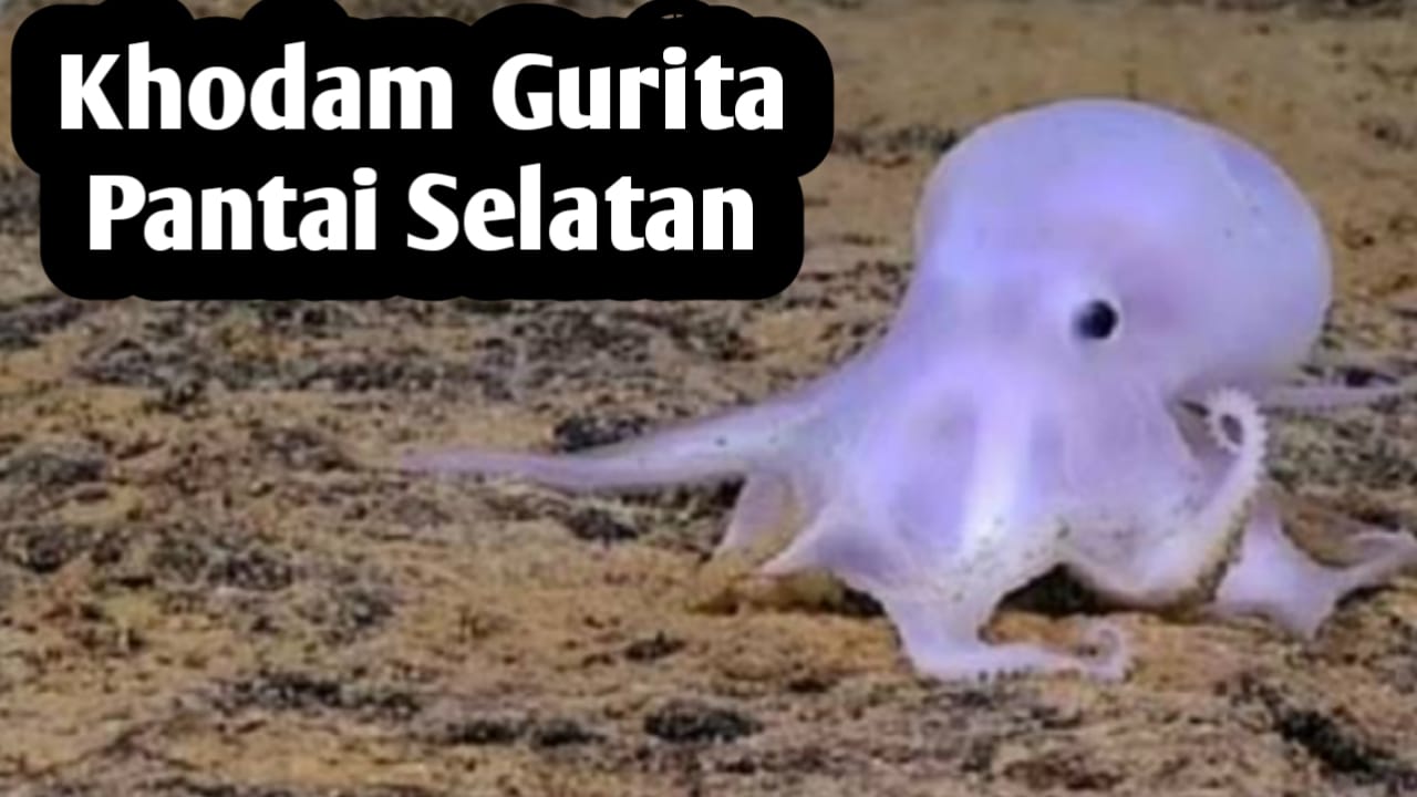 Kekuatan Khodam Gurita Pantai Selatan