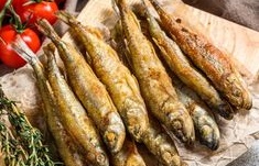 Cipung Suka Makan Ikan Ini, Simak 8 Manfaat Ikan Shisamo Bagi Kesehatan