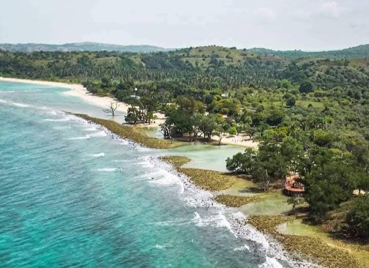 Pantai Lhok Mee, Pesona Bahari dengan Keindahan Pohon Geurumbang yang Rindang