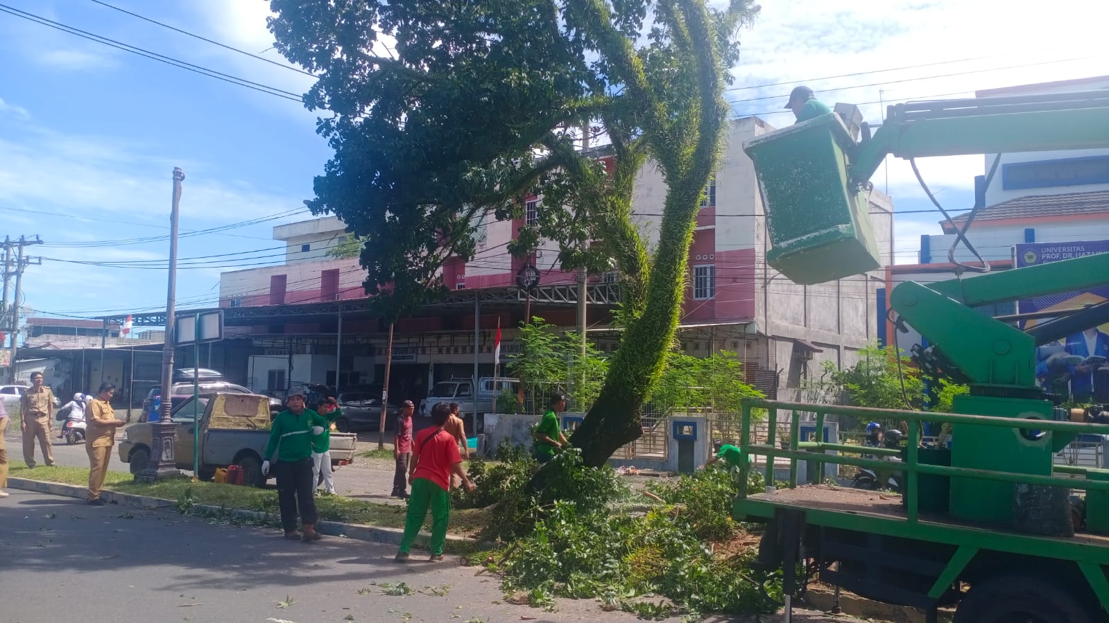 Berpotensi Bahaya, DLH Kota Bengkulu Pangkas Pohon di Pinggir Jalan Protokol