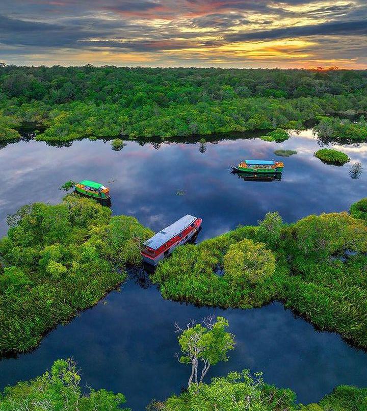 Mengenal dan Menjelajahi Taman Nasional Tanjung Puting Habitat Orang Hutan Terbesat di Dunia