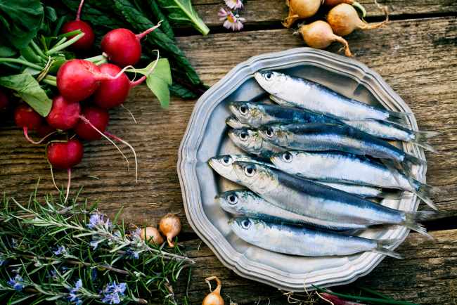 Menilik Beragam Manfaat Ikan Sarden yang Perlu Diketahui
