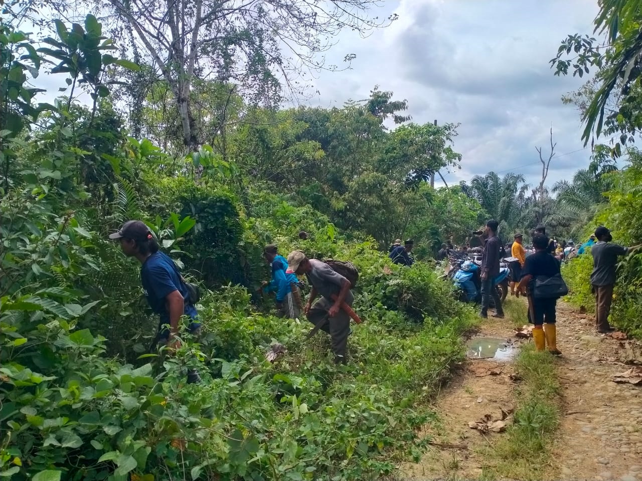 PTPN Tolak Lepas Lahan, Masyarakat Diminta Tak Anarkis