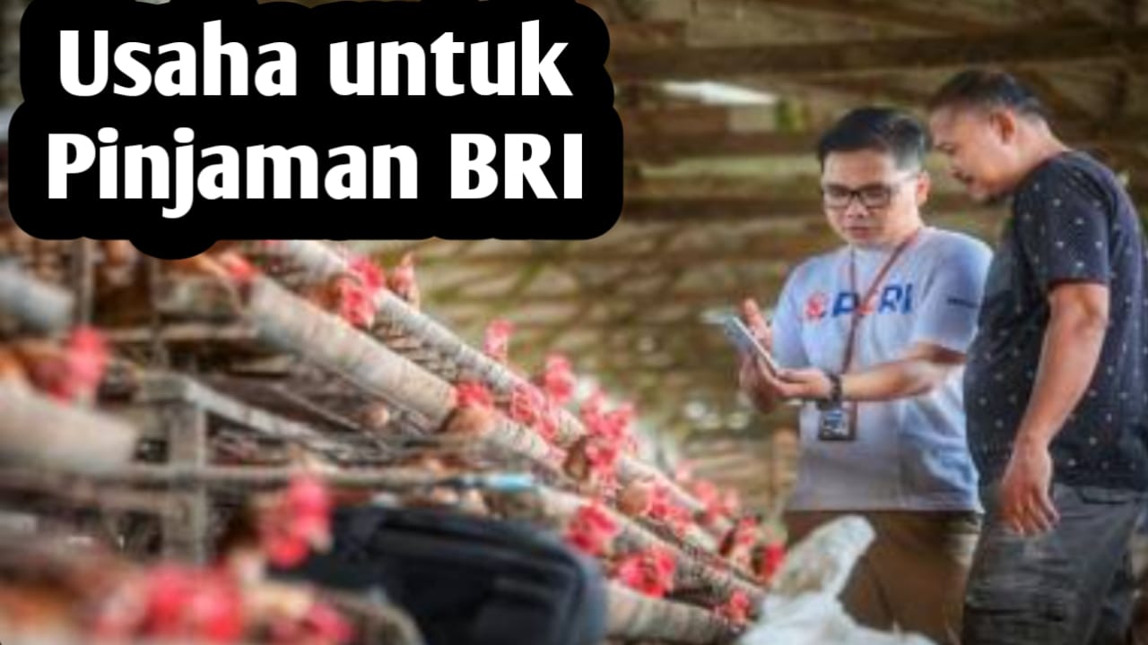 10 Jenis Usaha yang Menjadi Prioritas Mendapatkan Pinjaman dari BRI