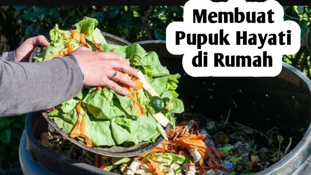 Cara Membuat Pupuk Hayati di Rumah, Simak Penjelasannya