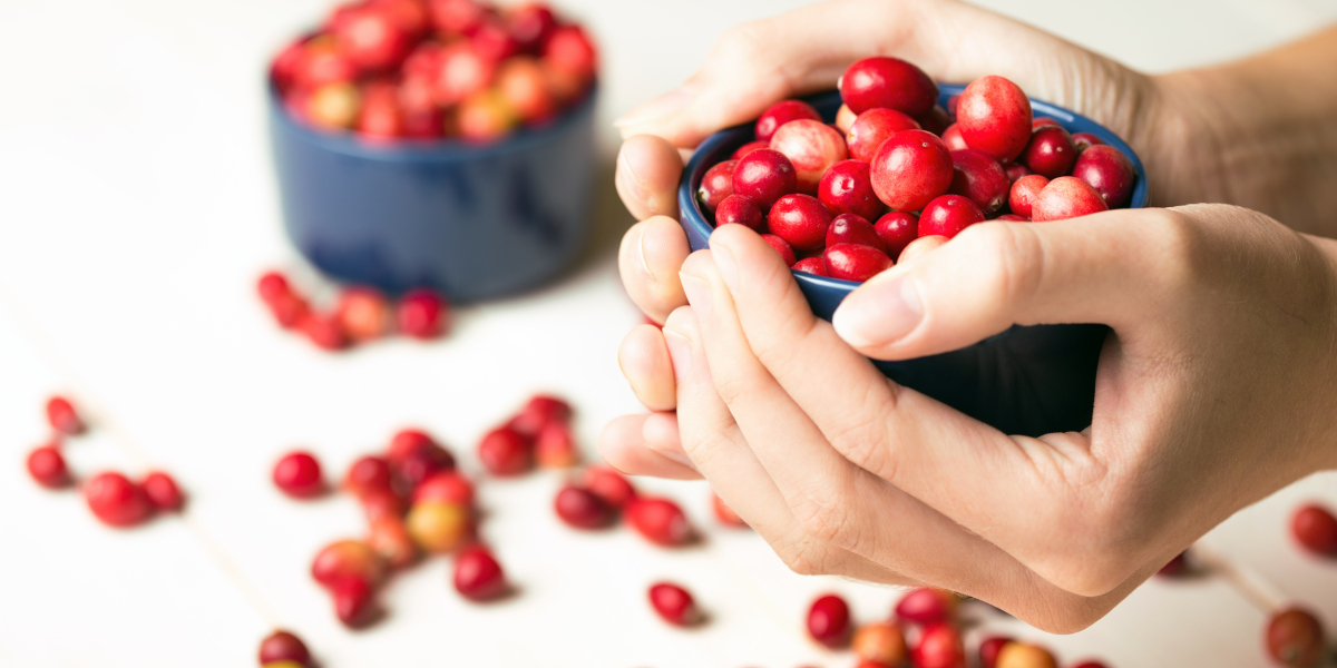 Buah Cranberry Berkhasiat untuk Ibu Hamil hingga Kesehatan Miss V