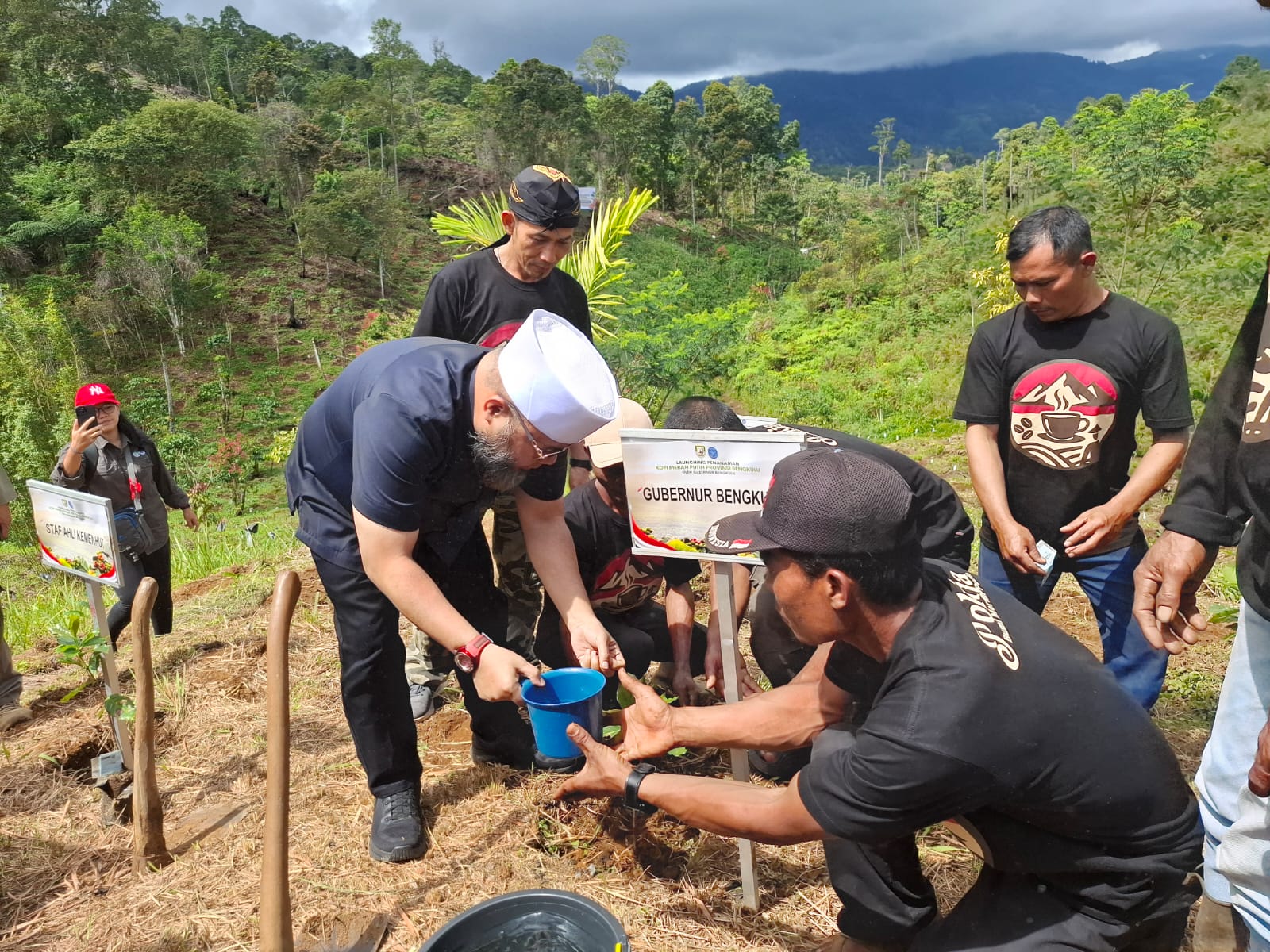 Gubernur Helmi Hasan Launching Penanaman 45 Ribu Pohon Kopi Merah Putih di Lebong 