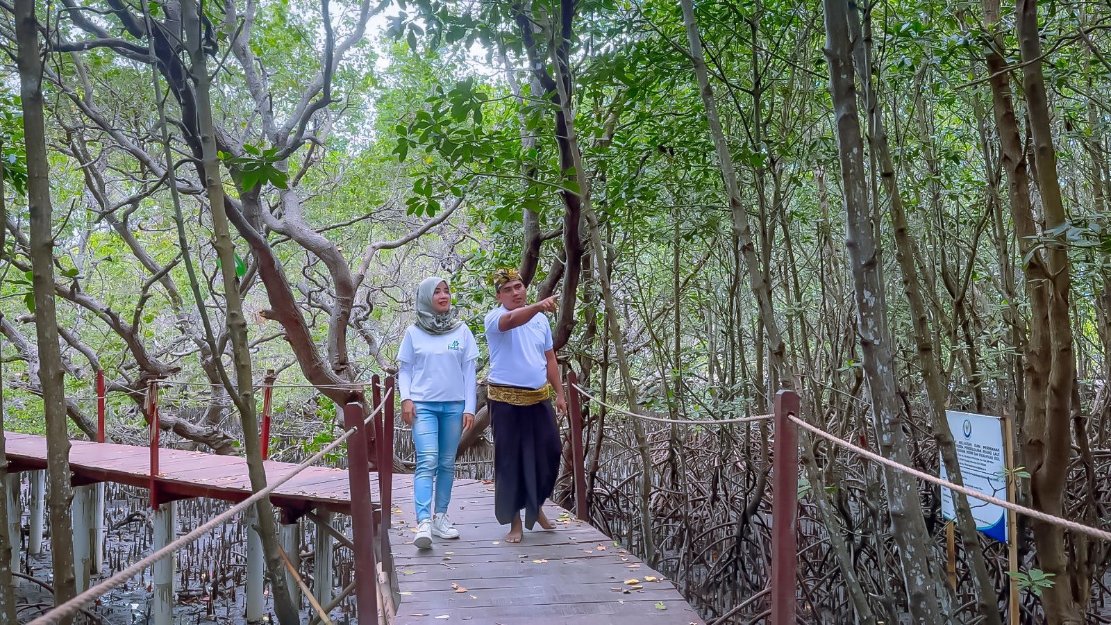 PLN Dorong Ekowisata Jerowaru: Revitalisasi Hutan Mangrove, Tingkatkan Pendapatan Warga