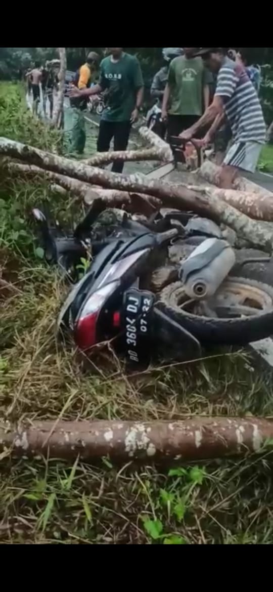 Motor Ditimpa Pohon, Anak Tewas, Ayah Kritis