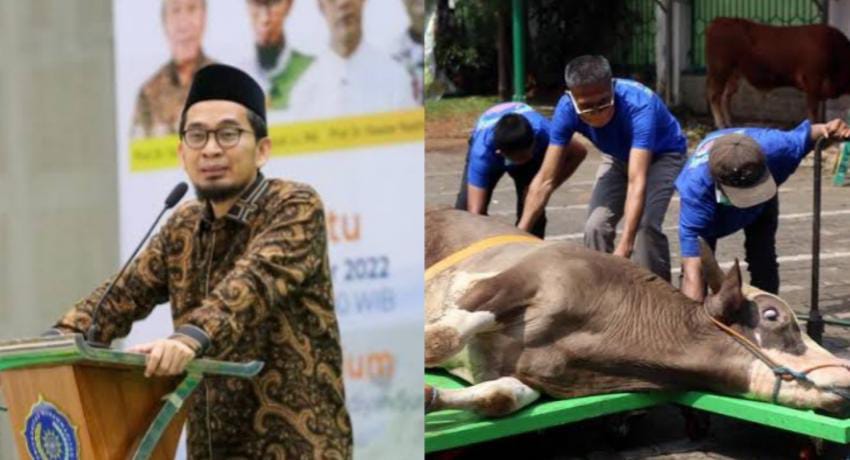 Sunnah Penting Sebelum Menyembelih Hewan Kurban, Ustaz Adi Hidayat Jelaskan Hikmahnya