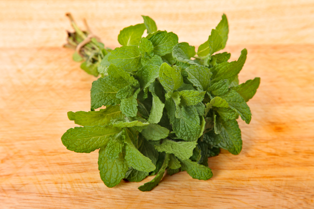 Serupa Tapi Tak Sama, Ini Perbedaan Peppermint dan Spearmint yang Kaya Manfaat