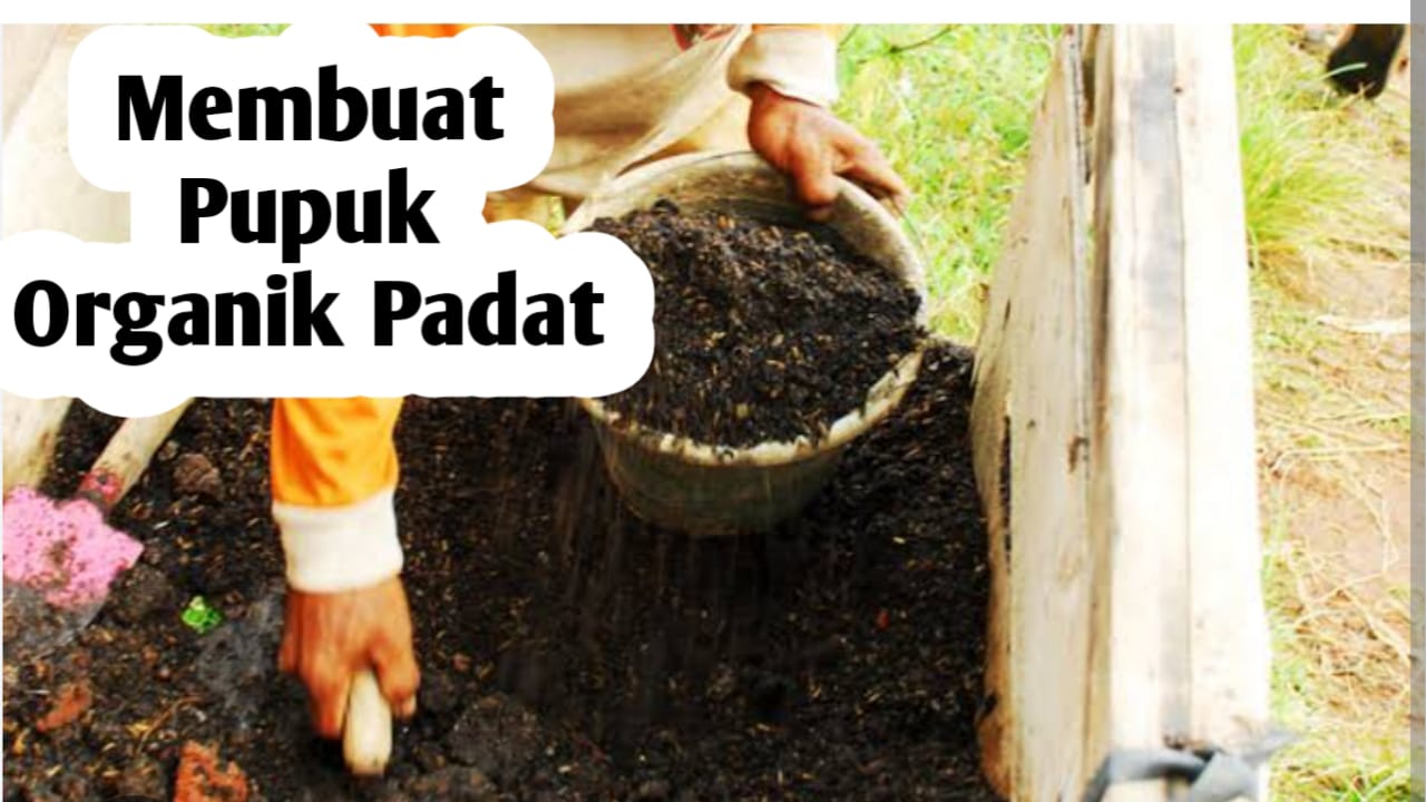 Cara Mudah Membuat Pupuk Organik Padat, Simak Penjelasan Berikut Ini