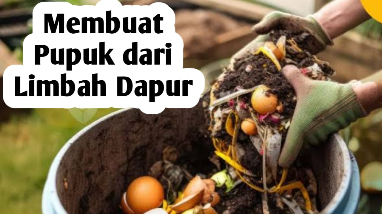 5 Cara Membuat Pupuk dari Limbah Dapur