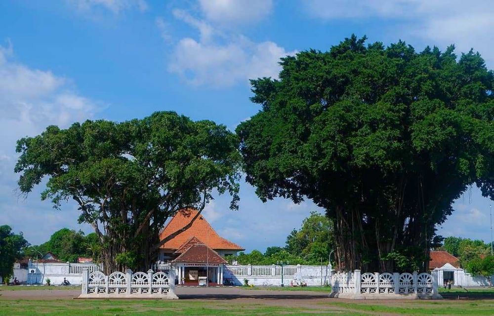 Kenapa di Alun-alun Kota Ada Pohon Beringin? Ini Alasannya