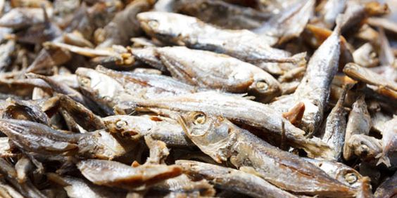 Intip Cara Membuat Ikan Asin dan Ragam Manfaatnya Bagi Kesehatan