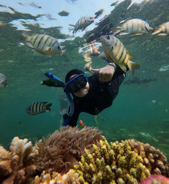 Pulau Lemukutan, Habitat Kerang Purba yang Dilindungi