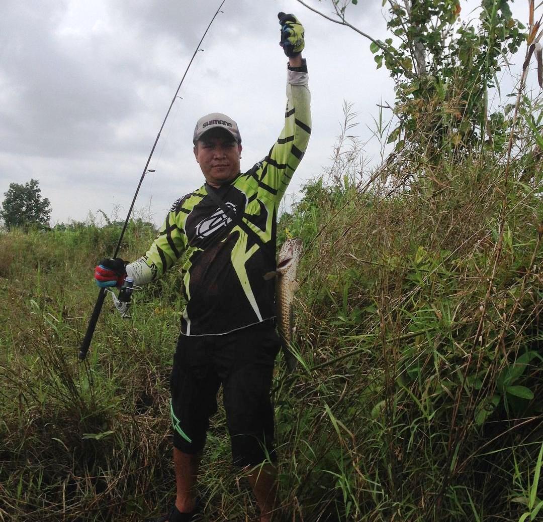 Mancing Ikan Gabus, Ini 5 Jenis Umpan Paling Mujarab