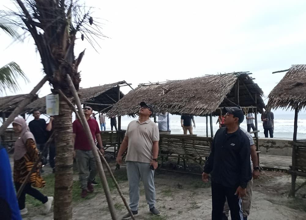 Walikota Bengkulu Pantau Perkembangan 10.000 Pohon Kelapa di Pantai Panjang