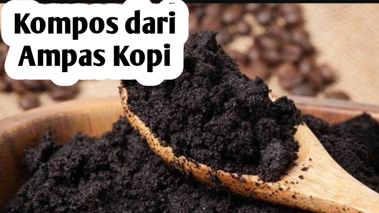 Membuat Pupuk Kompos dari Ampas Kopi, Ini Manfaatnya Bagi Tanaman