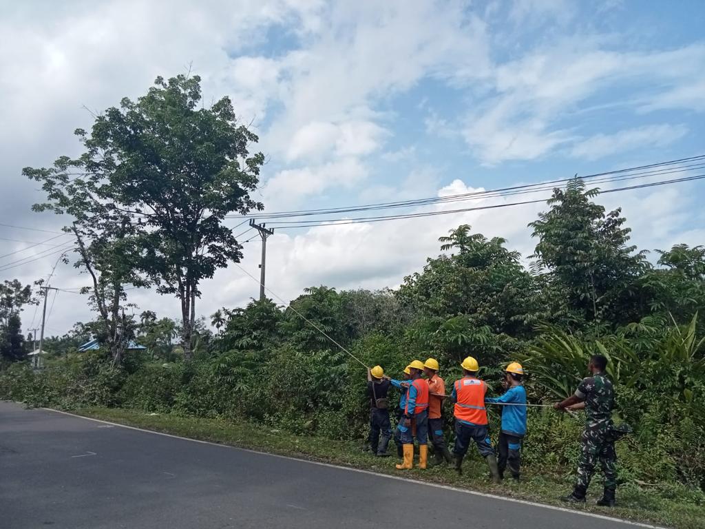 PLN Imbau Warga Jaga Instalasi Listrik, Waspadai Aktivitas Berbahaya di Musim Kemarau