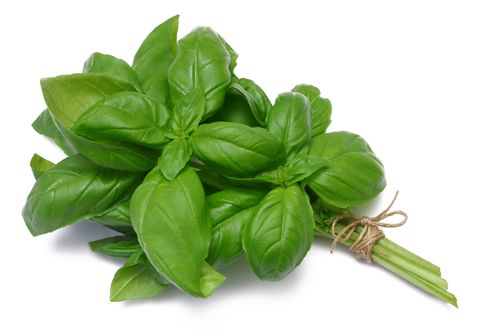 Inilah Dia 9 Ragam Manfaat Daun Basil Untuk Kesehatan 