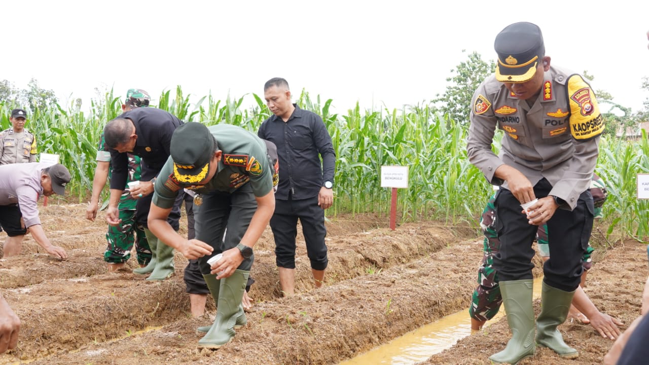 Polresta Bengkulu Ikut Serta Menyukseskan Penanaman 1 Juta Hektare Jagung