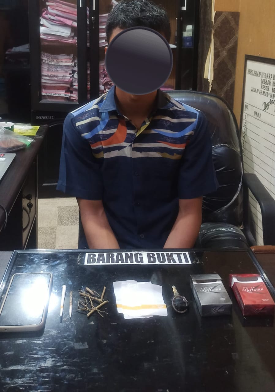 Pedagang di Kota Bengkulu Ditangkap Saat Nyimeng Gang Juwita Unib Belakang