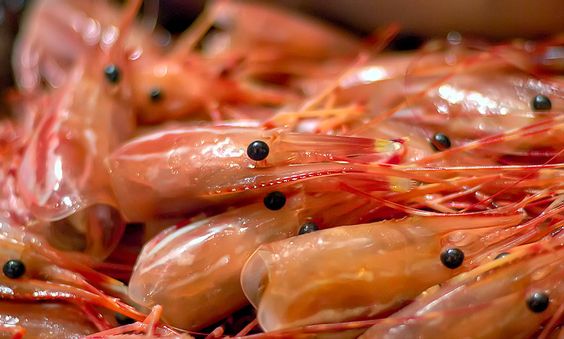 Jangan Dulu Dibuang, Kenali 5 Manfaat Kulit Udang untuk Kesehatan yang Sayang Dilewatkan 