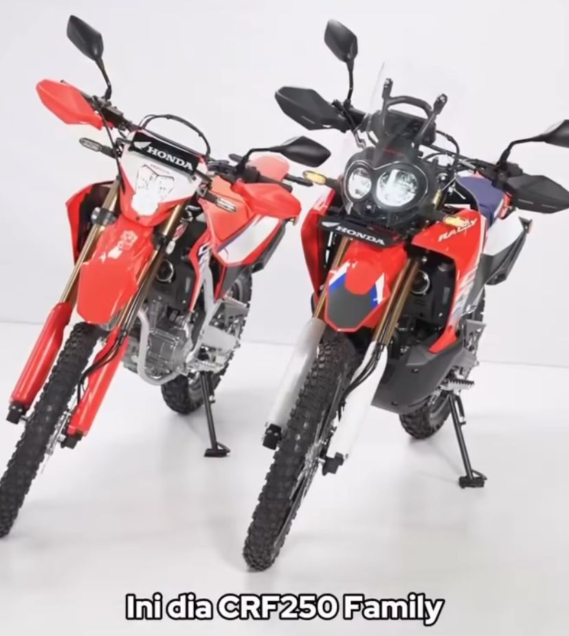 CRF250 Family: Motor Vibes Trail Run