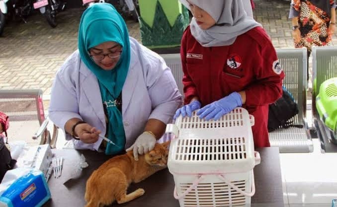 Meningkatnya Kasus Gigitan HPR di Mukomuko, Dinkes Galakkan Vaksinasi dan Edukasi