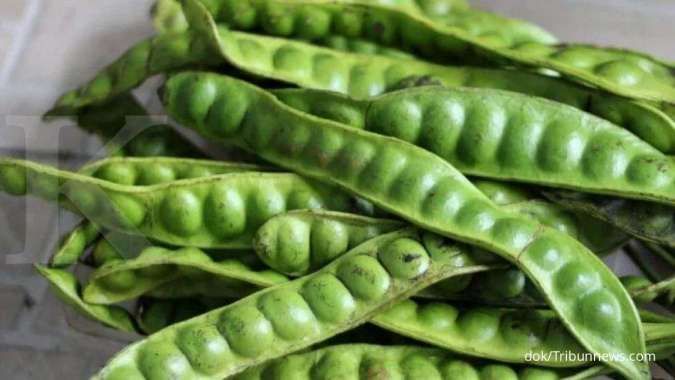 Yuk Kenali 5 Manfaat Petai Rebus bagi Kesehatan yang Jarang Diketahui