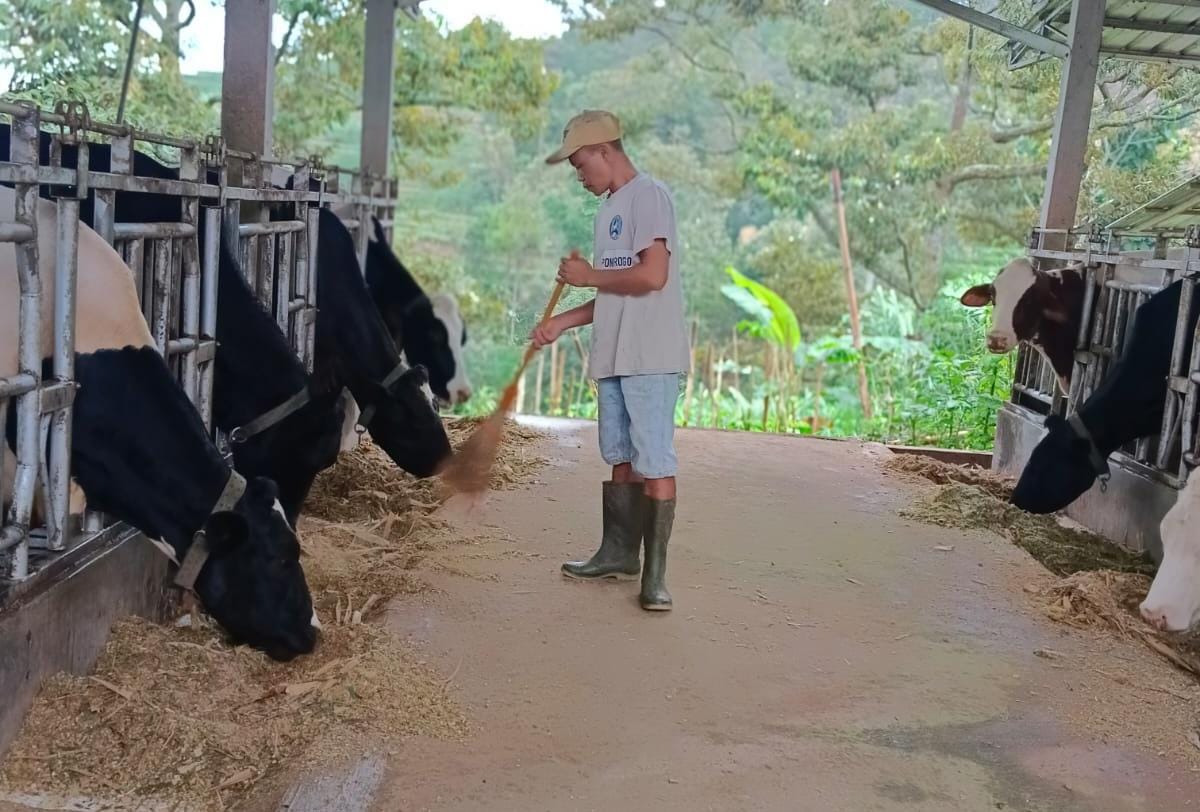 Dapatkan Fasilitas Pembiayaan dan Transaksi dari BRI, Berhasil Tingkatkan Klaster Susu di Ponorogo